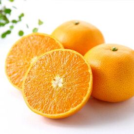 【ふるさと納税】 高級 柑橘 温室 せとか 秀品 L 品 14個入り 約3kg みかん 蜜柑 果物 フルーツ 柑橘類 期間限定 季節限定 数量限定 人気 旬 甘い ジューシー ふるさと納税柑橘 ふるさと納税みかん ［1429］