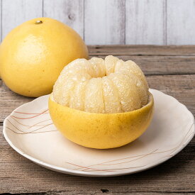 【ふるさと納税】 土佐文旦 10kg 3L〜4L ご家庭用 文旦 ぶんたん 柑橘 フルーツ 果物 サイズ混合 大玉 文旦10kg 高知 黒潮町 産地直送 旬 期間限定 季節限定 文旦セット 柑橘類 高知県 黒潮町