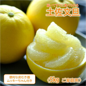 yӂ邳Ɣ[Łz͂ĂɐHׂ yU 5kgi ƒp j bL[ tm1462n