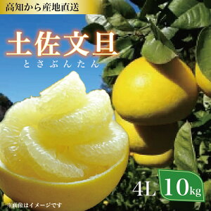 yӂ邳Ɣ[ŁzyU 10kg 4LTCYi ƒp j Ac_ m1536n