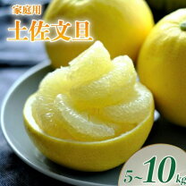 楽天市場】文旦 3lの通販