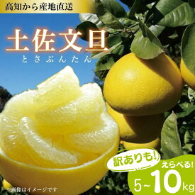【ふるさと納税】 えらべる! 文旦 土佐文旦 2L~4Lサイズ 5~10kg ご家庭用 家庭用 訳あり サイズ混合 不揃い サイズ不選別 ぶんたん 植田農園 産地直送 高知 黒潮町 柑橘 国産 フルーツ くだもの 糖度11 12 ふるさと納税訳あり 家庭用文旦 自宅用 柑橘セット フルーツセット