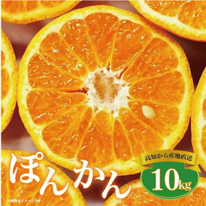 yӂ邳Ɣ[ŁzAc_ |J 10kg mY iƒpjm1184n