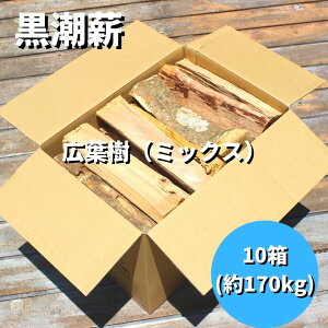 yӂ邳Ɣ[Łz  d 10 170kg R[X Lv   dXg[u AEghA o[xL[ BBQ ƒp Lt ~bNX  ~ VR ӂ邳Ɣ[Őd m1606n