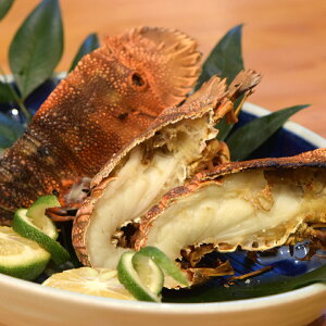 yӂ邳Ɣ[Łz y Ⓚ z VR ^rGr 1.0kg (5`8) VN  CV ܊CV ъCV ^rCV 1L 1kg CN  L CN E`Gr CV }Ⓚ m 