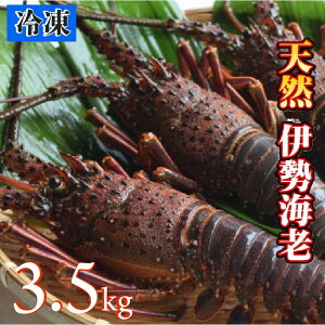 �y�ӂ邳�Ɣ[�Łz �Ⓚ �V�R �ɐ��C�V 1.0kg~3.5kg �V�N �ɐ��G�r �ɐ����� �Y�n���� �G�r �C�V �C�N ����� ���� ���L ���� ������ ���j�� �M�t�g �����p ���Ε� ���� �O���� ������ ������ ���� 