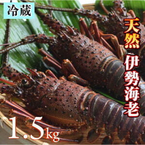 yӂ邳Ɣ[ŁzVR ɐCV 1.5kgi2`6j  m1082-2n