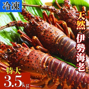 �y�ӂ邳�Ɣ[�Łz �Ⓚ �V�R �ɐ��C�V 700g~3.5kg �󂠂���I�ׂ� �V�N �ɐ��G�r �ɐ����� �Y�n���� �G�r �C�V �C�N ����� ���� ���L ���� �K�i�O �󂠂� ��A�� �ӂ邳�Ɣ[�ňɐ��C�V �ӂ邳��