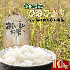 yӂ邳Ɣ[Łzߘa7NxY  10kg Ђ̂Ђ   Y  qmqJ C䂩̗ ܂ɂ   ӂ邳Ɣ[ŕ ӂ邳Ɣ[ł 2025NY ʌ Ԍ 