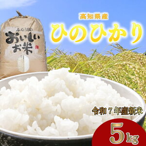 yӂ邳Ɣ[Łz ߘa7NxY  5kg Ђ̂Ђ qmqJ  5L  Y m  C䂩̗ ܂ɂ  2025NY V  Pꌴ m m 