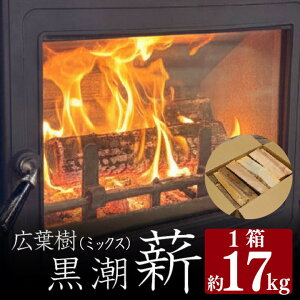 yӂ邳Ɣ[Łz d 1 17kg ܐ 20 ȉ ܂   dXg[up dXg[u Lv Lvpi AEghA AEghAObY o[xL[ BBQ Lvt@C[ ƒp 