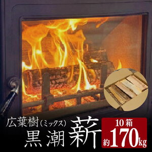 yӂ邳Ɣ[Łz d 10 170kg ܂   dXg[up dXg[u Lv Lvpi AEghA AEghAObY o[xL[ BBQ Lvt@C[ ƒp Lt m 