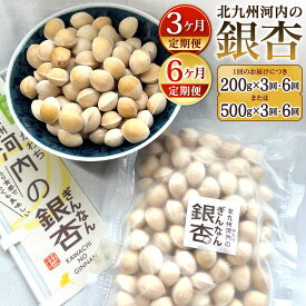 【ふるさと納税】【定期便】冷凍 北九州河内の銀杏 〈選べる〉200g または 500g 3ヶ月定期便 または 6ヶ月定期便 銀杏 ぎんなん 殻付き 実 おつまみ おやつ 酒の肴 モチモチ 国産 福岡県北九州市