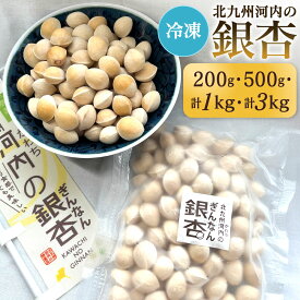 【ふるさと納税】冷凍 北九州河内の銀杏 〈選べる〉200g / 500g / 1kg / 3kg 銀杏 ぎんなん 殻付き 実 おつまみ おやつ 酒の肴 モチモチ 国産 福岡県北九州市