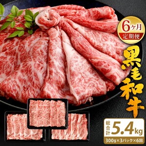 yӂ邳Ɣ[ŁzyցzIׂ  I A4`A5 BY јa [X XCX y3 v2.7kg(300g×3pbN×3)zy6 v5.4kg(300g×3pbN×6)z  