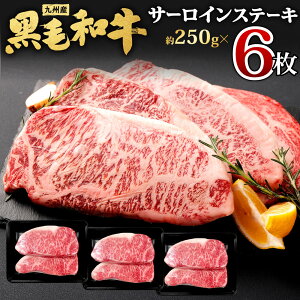 yӂ邳Ɣ[ŁzBY јa T[CXe[L Iׂ遄 v500g(250g×2) ܂ v1kg(250g×4) ܂ v1.5kg(250g×6) Xe[L o[xL[ BBQ AEghA T[C