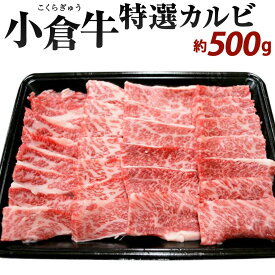 【ふるさと納税】別格！小倉牛 特選カルビ 500g 牛肉 お肉 国産牛 カルビ 焼肉 BBQ 九州 冷凍 送料無料