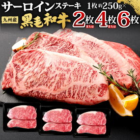 【ふるさと納税】九州産 黒毛和牛 サーロインステーキ ＜選べる＞ 計約500g(約250g×2枚) または 計約1kg(約250g×4枚) または 計約1.5kg(約250g×6枚) ステーキ バーベキュー BBQ アウトドア サーロイン 牛肉 お肉 国産 日本産 国産牛 冷凍