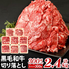 【ふるさと納税】九州産 黒毛和牛 切り落とし 1パック300g 選べる 300g(1パック) / 計600g(2パック) / 計900g(3パック) / 計1.2kg(4パック) / 計1.8kg(6パック) / 計2.4kg(8パック) 小分け 国産牛 お肉 牛肉 切落し 冷凍 便利 7000円～23000円 7000円～2万3000円