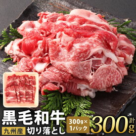 【ふるさと納税】九州産 黒毛和牛 切り落とし 1パック300g 選べる 300g(1パック) / 計600g(2パック) / 計900g(3パック) / 計1.2kg(4パック) / 計1.8kg(6パック) / 計2.4kg(8パック) 小分け 国産牛 お肉 牛肉 切落し 冷凍 便利 7000円～23000円 7000円～2万3000円