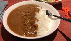 yӂ邳Ɣ[Łz̊C ڗJ[Zbg ⓀHi HJ[ J[ gg Ⓚ  w著s yVX[p[SALE 9J