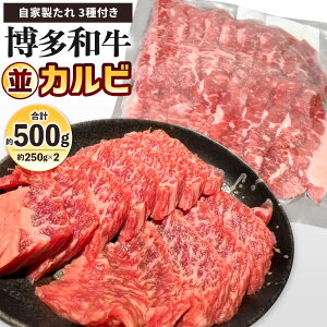 yӂ邳Ɣ[Łza Jr 500g(250g×2pbN) Ɛ3t Jr   Y Jr o[x[L[ BBQ AEghA Ă ē Y  Ⓚ
