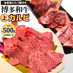 yӂ邳Ɣ[Łza Jr 500g(250g×2pbN) Ɛ3t Jr   Y Jr o[x[L[ BBQ AEghA Ă ē Y  Ⓚ yVX[p[SAL