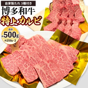 yӂ邳Ɣ[Łza Jr 500g(250g×2pbN) Ɛ3t Jr   Y  Jr o[x[L[ BBQ AEghA Ă ē Y  Ⓚ yVX