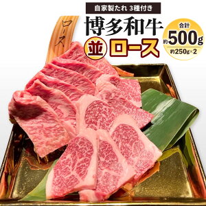 yӂ邳Ɣ[Łza [X 500g(250g×2pbN) Ɛ3t [X   Y [X o[x[L[ BBQ AEghA Ă ē Y  Ⓚ yVX[p[SAL