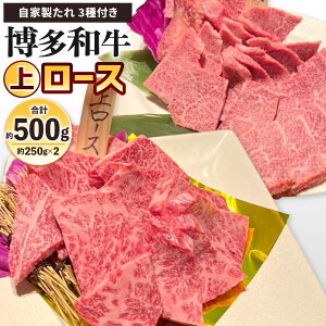 yӂ邳Ɣ[Łza ネ[X 500g(250g×2pbN) Ɛ3t [X   Y [X o[x[L[ BBQ AEghA Ă ē Y  Ⓚ yVX[p[SAL