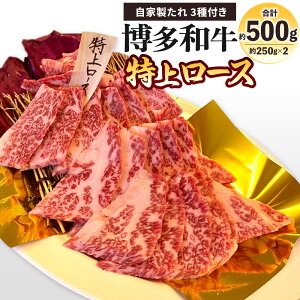 yӂ邳Ɣ[Łza ネ[X 500g(250g×2pbN) Ɛ3t [X   Y  [X o[x[L[ BBQ AEghA Ă ē Y  Ⓚ yVX