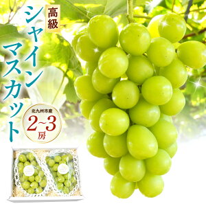 yӂ邳Ɣ[Łz VC}XJbg 2`3[Zbgsϔt v1.1kg t[c ʕ 嗱 ǖ[ x Â Ȃ Ԃǂ { G ① Y  kBs y2026N8{-9