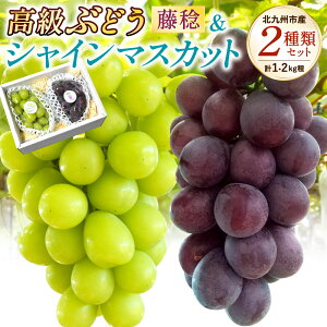 yӂ邳Ɣ[ŁzԂǂ (  )EVC}XJbg v2[Zbg v1.2kgsϔt 2 t[c  uhE 嗱 ǖ[ Ȃ W{uhE { G ① Y 