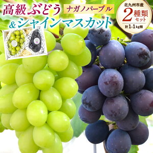 yӂ邳Ɣ[ŁzԂǂ( iKmp[v )EVC}XJbg v2[Zbg v1.1kgsϔt 2 t[c  uhE x Â 햳 Ȃ G ① Y k