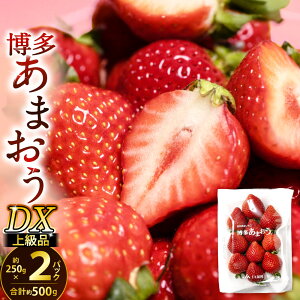 yӂ邳Ɣ[ŁzY ܂ DX㋉i 500g (250g×2pbN) YYi ܂Iʕ  t[c { ʕ ܂  ʏ` fbNX ① Y B y2025N