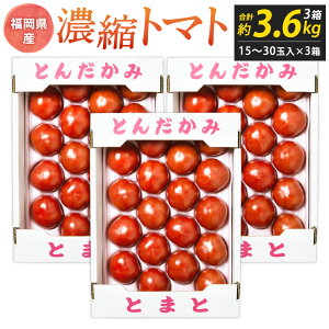 yӂ邳Ɣ[ŁzᏼZkg}g Iׂ遄 1.2kg ܂ 2.4kg ܂ 3.6kg 115ʁ`30ʓ kBsᏼY g}g  { VN G ~ ①  B \ y2026N3