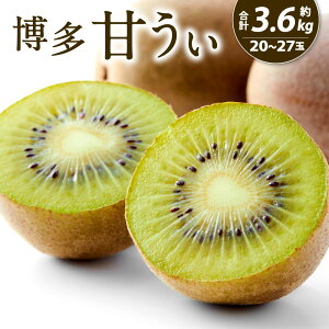 yӂ邳Ɣ[ŁzY Â qIׂr1.4kg (9ʓ) 3.6kg(20ʁ`27ʓ) LEC LECt[c ʕ t[c {  Vi ʎ W[V[ Â Y 萶