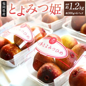 yӂ邳Ɣ[ŁzY Ƃ݂P 1.2kg(300g×4pbN)  ԉ C`WN t[c ʕ ʕ { \ uh ① Y  B y2025N9{`10{\