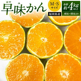 【ふるさと納税】福岡県産 早味かん 約4kg以上(40玉～50玉入り) M・Sサイズ 極早生 みかん 蜜柑 果物 フルーツ 柑橘 はやみかん 旬 新鮮 青果物 ジューシー 予約 国産 福岡県北九州市【2026年9月下旬-10月下旬発送予定】