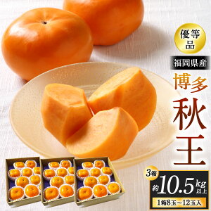 yӂ邳Ɣ[ŁzY HyDiz ` qIׂr1.75kgȏ / 3.5kgȏ / 7kgȏ / 10.5kgȏ ʕ t[c { VN  IWii  G Y  B 