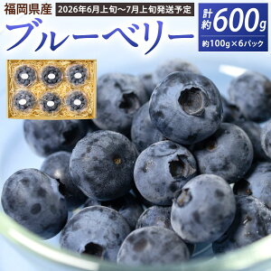 yӂ邳Ɣ[Łz① Y u[x[ Y v600g 100g×6pbN t[c x[  ʕ E W[V[  G { VN kBs q_ y2026N6{-7{