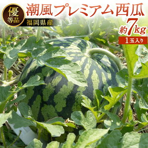 yӂ邳Ɣ[ŁzkBsᏼY yDiz v~AZ 7kg(1ʓ)  ʕ t[c   { G VN  i Z \ Y  B y2026N7