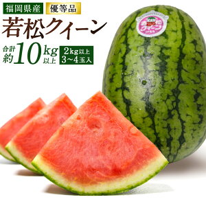 yӂ邳Ɣ[ŁzkBsᏼYyDizᏼNC[ XCJ Iׂ遄4kgȏ(2kgȏ 2ʓ) / 10kgȏ(2kgȏ3ʓ`4ʓ)   { VN  i 