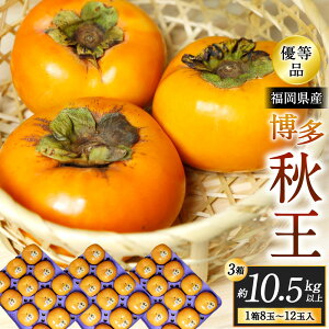 yӂ邳Ɣ[ŁzY HyDiz ` qIׂr1.75kgȏ / 3.5kgȏ / 7kgȏ / 10.5kgȏ ʕ t[c { VN  IWii  G Y kB