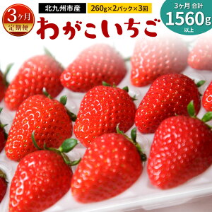 �y�ӂ邳�Ɣ[�Łz�y�����3��(2026�N1�E2�E3������)�z���q��䕂₳��u�킪���������v 260g×2�p�b�N×3�� ���v1560g�ȏ� ������ ������ �C�`�S �ʕ� �{ �V�N ���E�� ���n �t���[�c �① ���Y ����