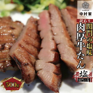 yӂ邳Ɣ[Łzy{iYzy󂠂z ؂ ^ ֖̉ 500g×1pbN Jbg   ^ t ē BBQ Ă o[xL[ Ⓚ  yVX[p[SALE 9