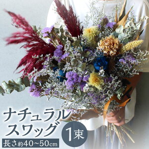 yӂ邳Ɣ[Łzi`XbO 1 :40`50cm :25`30cm hCt[  MIX ~bNX ԏ nMO ݂艺  A i` CeA   Mtg 