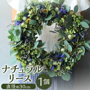 yӂ邳Ɣ[ŁzG߂̃i`[X 1 a30cm hCt[  MIX ~bNX ԏ  A i` CeA   Mtg   Y B 
