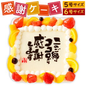 【ふるさと納税】【指定日必須】感謝ケーキ 〈選べるサイズ〉 5号(15cm×15cm) / 6号(18cm×18cm) 生クリーム いちご ピーチ パイン オレンジ 果物 フルーツ スイーツ デザート 記念日 謝礼 お祝い 誕生日 退職 卒業 成人 結婚 パーティー 冷凍 福岡県 北九州市