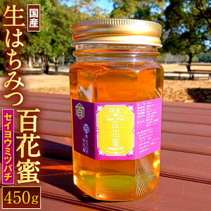 yӂ邳Ɣ[ŁzY ݂͂ 450g×1{ ZCE~co` SԖ n`~c I nj[ i ō  { gbsO Ö  M kBs  yVX[p[SALE 9J